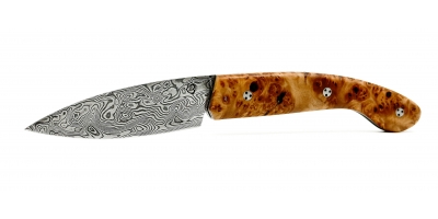 Ariégeois folding knife olive tree